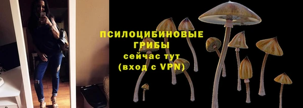 сатива Алексеевка