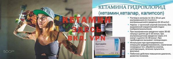 сатива Алексеевка