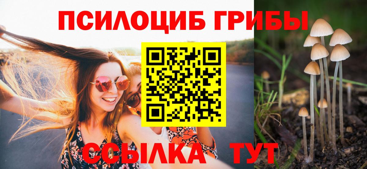 Псилоцибиновые грибы прущие грибы Борзя
